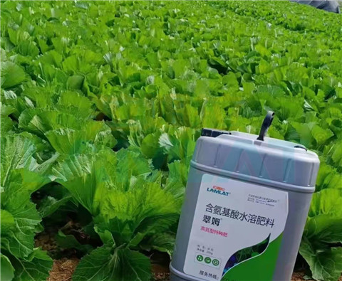 水溶肥，翠姆，拉姆拉