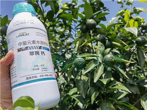 水溶肥，拉姆拉，翠姆