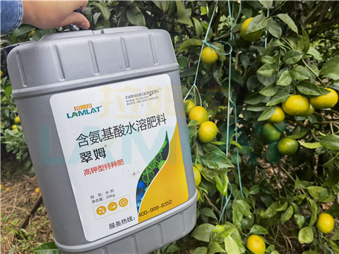 水溶肥，拉姆拉，翠姆