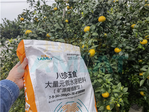 水溶肥，拉姆拉，翠姆