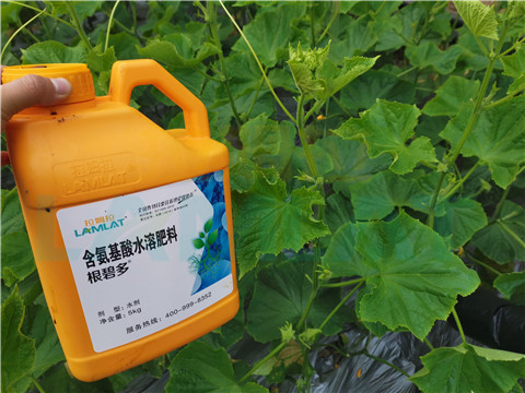 水溶肥，拉姆拉，翠姆