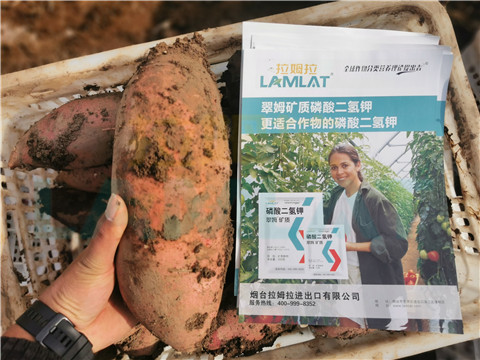 水溶肥，拉姆拉，翠姆