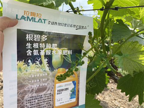 水溶肥，拉姆拉，翠姆