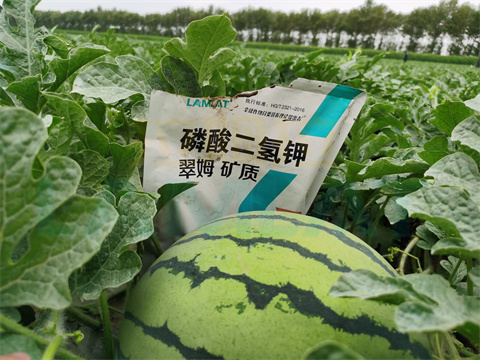 水溶肥，拉姆拉，翠姆