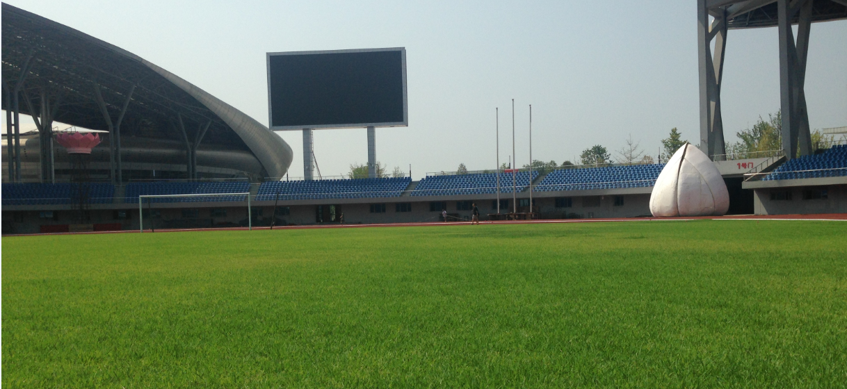 足球場(chǎng)2